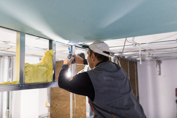 Insulation Replacement Services in Woodbury, MN