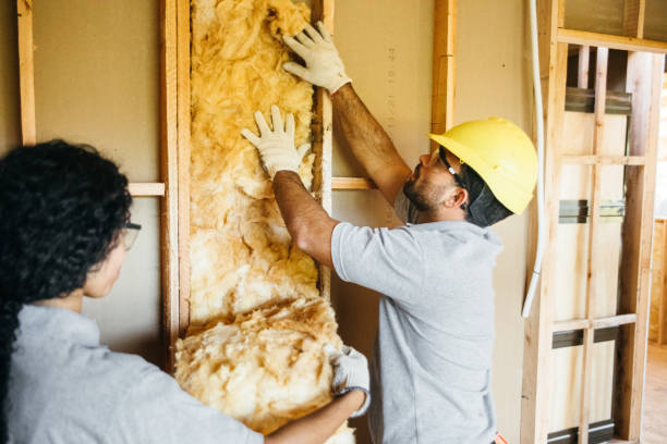 Best Garage Insulation Installation  in Woodbury, MN