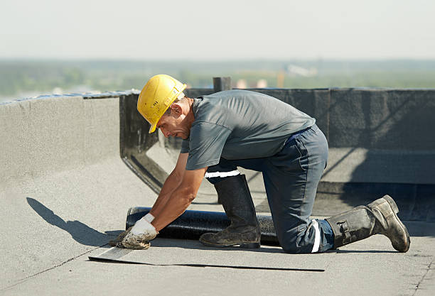 Best Residential Insulation Services  in Woodbury, MN
